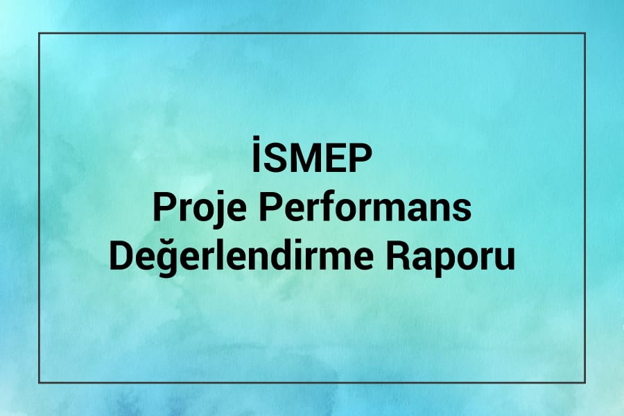 ISMEP Proje Performans Değerlendirme Raporu